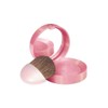 Bourjois Fard Joues 34