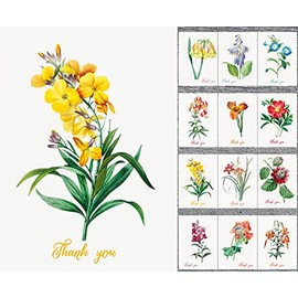 PIXILUV BEAUTIFUL FLOWERS AND BIRDS ~ 12 Thank You Cards with envelopes ~ Vintage Floral Postcards and Botannical Book Illustrations by Frederick Sander Notecrads Reprint (English Garden)
