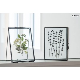 POSH LIVING 22611 Glass Frame, Black, Size: Approx. W 5.1 x D 3.3 x H 7.5 inches (13 x 8.5 x 19 x 19 cm)