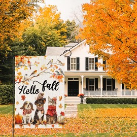 zeevly Hello Fall Dog Cat Garden Flag 12x18 Inch Double Sided for Outside, Autumn Maple Leaves Birds Cat Dogs Small Outdoor Yard Flag