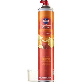 Nilco Professional H12 Power Fresh Smoke Away Odour Neutraliser, Hint of Mint, 750 ml