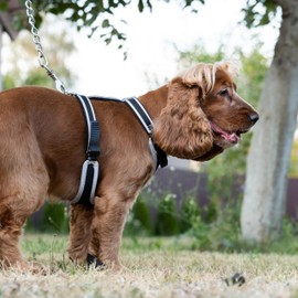 Ferplast Medium Size Dog Harness ERGOCOMFORT MEDIUM, Adjustable Dog Harness, Comfortable, Padded, Double Micro-adjustment Closure, Quick Release, Silver