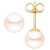 Jobo Women's Gold Pearl Stud Earrings, Yellow Gold