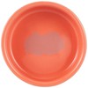 Trixie TX-60731 Ceramic Bowl for Hamsters, Assorted colours, 80 ml,