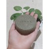 Shampoo Sólido Natural de Romero y Menta, 100g, Fortalece y