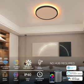 TALOYA 2 Pack Black Smart Ceiling Light Flush Mount LED WiFi, Compatible with Alexa Google Home, Dimmable Low Profile Ambient Light Fixture for Bedroom Living Room,12 Inch 24W