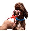 BullTek Dog Chew Toy, 8 Shapes, Double Ring, Durable Toy