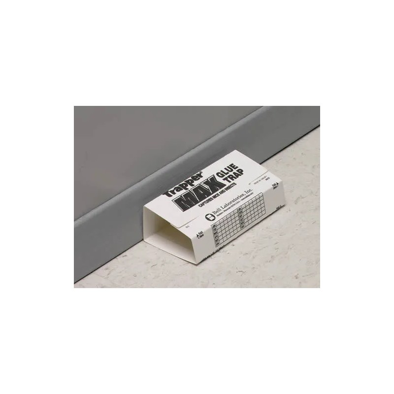 Bell Labs 12 Brown Recluse Spider Traps House Spider Traps