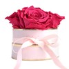 Rosmarie Schulz Heidelberg Rose Box, White Round Infinity Rose, Flower