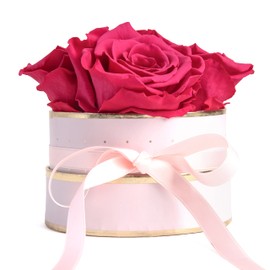 Rosmarie Schulz Heidelberg Rose Box, White Round Infinity Rose, Flower Box Preserved Rose