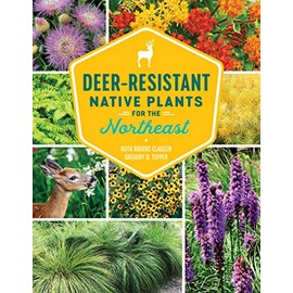 Deer-Resistant Native Plants for the Northeast
