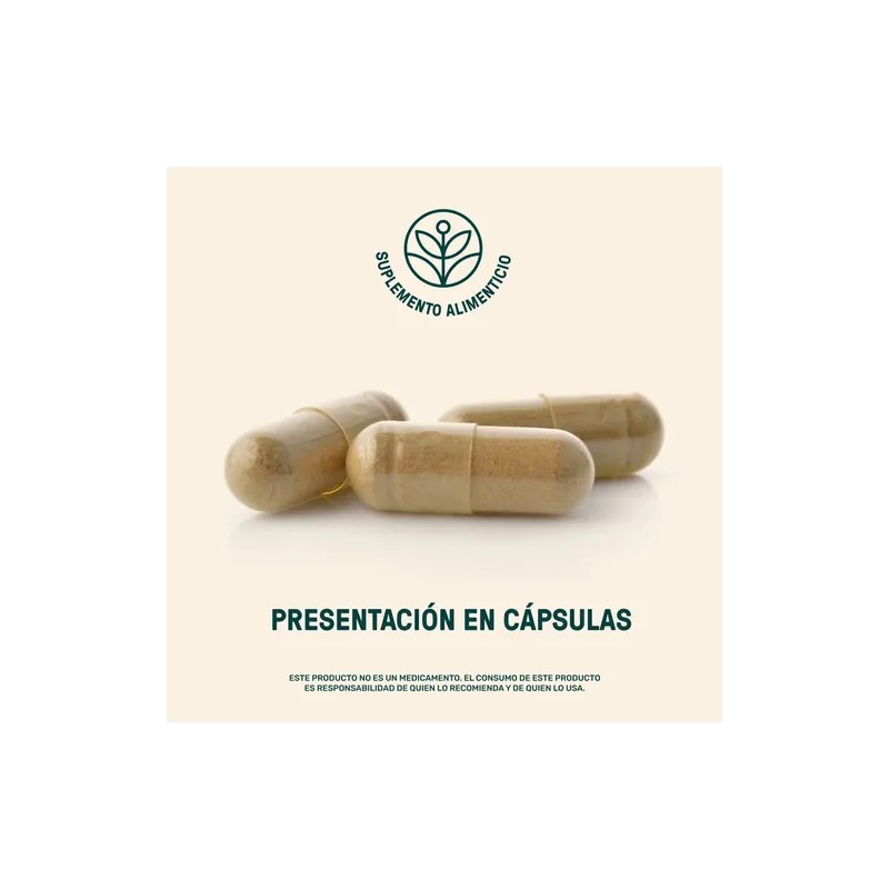 Rhodiola Maca Life 360+ Fuel Up Blend 60 Cápsulas Cordyceps