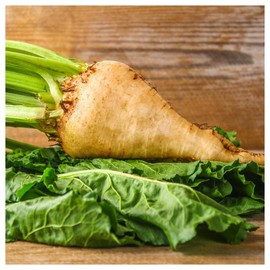Everwilde Farms - 1 Lb Sugar Beet Beet Seeds - Gold Vault