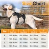rabbitgoo Escape-Proof Dog Harness Medium with Large Handle, Anti-Pull Reflective