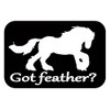 Gypsy Vanner Horse got feather Sticker TP 1302 vinyl 6"