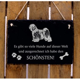 Tibet Terrier Sign Slate Saying Slate Plaque - Most Beautiful Dog in the World - Door Sign 22 x 16 cm Dekolando