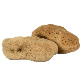 Intimatecare Esponjas Mar Mediterráneo Embalaje Plástico Absoluta Marrón Natural Pulgadas