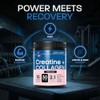 GN Creatine + Marine Collagen Powder, Unflavoured, 5g Creatine Monohydrate
