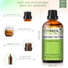 Australian Tea Tree 1.01fl.oz Essential Oil, PHATOIL Pure Aromatherapy Oils
