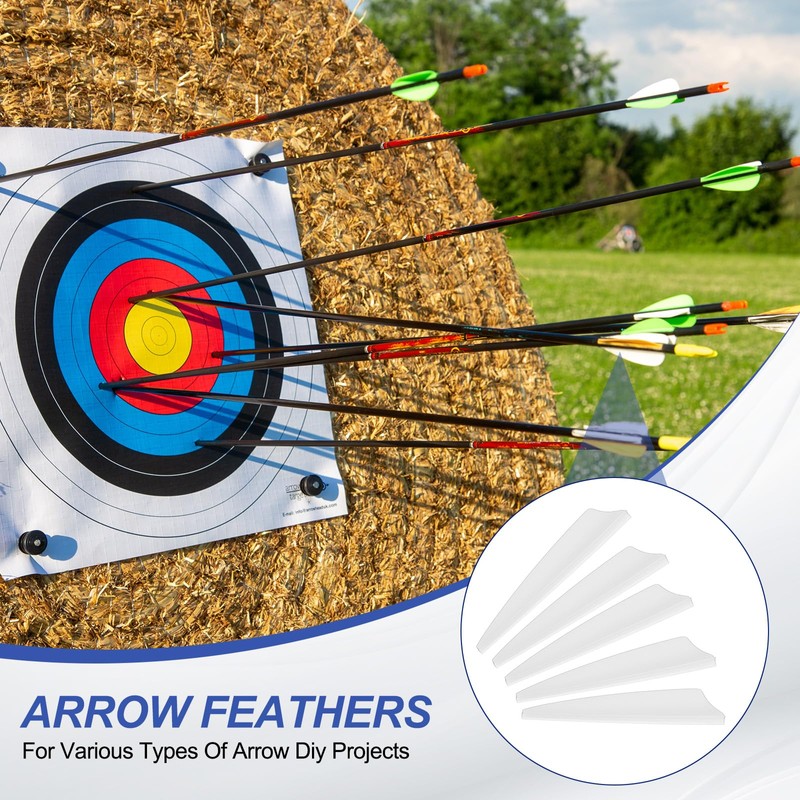 PATIKIL Arrows Vanes, 36 Pack 2.5 Inch Arrow Fletching Archery