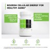 Nad+ Activate Davinci 30 Cápsulas Vegetariano