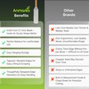 Anmarko Stainless Steel Spatula with Wooden Handle, Food Spatula with