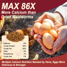 10LB Dried Black Soldier Fly Larvae for Chickens,Non GMO 86X More Calcium BSF Larvae Than Dried Meal Worms for Chicken, Turkey, Natural Black Fly Larvae for Chickens Bulk,Protein Chicken Grubs Treats