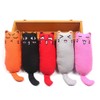 Legendog 5Pcs Bite Resistant Catnip Toy for Cats,Catnip Filled Cartoon