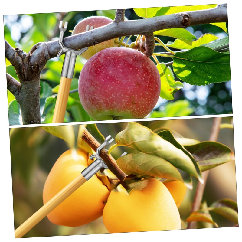 Totority 6pcs Tree Branch Support Forks Tree Crutch Kit for