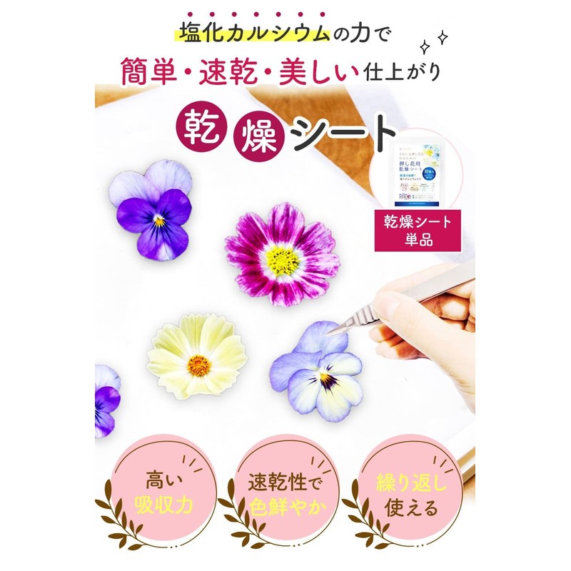 Dream Irokaden Pressed Flower Kit, Pressed Flowers, Drying Sheet, For