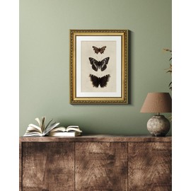 VIYYIEA Vintage Gold Framed Butterfly Wall Art, Bedroom Bathroom Shelf Retro Butterfly Illustration Room Decor, Canvas Prints, Antique Picture Frame Paintings Home Farmhouse Wall Decor, 11x14 Inch
