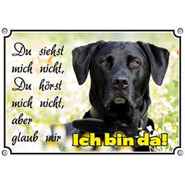 A noble dog sign with a black labrador retriever - top warning sign UV-resistant, DIN A4