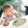 Haakaa Baby Fruit Food Feeder & Silicone Freezer Nibble Tray