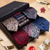 Hi-Tie Lot 5 Pcs Gift Box Mens Tie Set Necktie