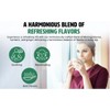 Moringa Leaves Tea with Turmeric 8 oz, Boost Immunity, Aid