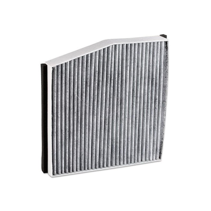 RIDEX Cabin Air Filter 424I0257 A-Class (W176) 255 mm 254