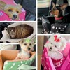 Center Console Dog Car Seat for Medium Dogs, Black