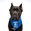 Happy 4th of July Dog Bandana | 100% Adjustable Cotton