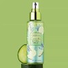 Fijador De Maquillaje De Beauty Creations Variedad Aromas