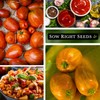 Sow Right Seeds - Striped Paste Tomato Seeds for Planting