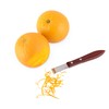 Viski 5293 Professional Acacia Citrus Zester, Clear