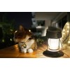 pearlstar Solar Lanterns Outdoor Hanging Solar Lights with Handle for