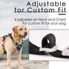 ThinkPet Anti-Pull Dog Harness, with Handle, Easy to Control, Adjustable,