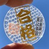 Good Luck Pocket Token, Old Fashioned Lucky Lucky Charm for
