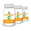Vitamina C, 300 Tabletas (3 Frascos 100 Tab C/u) Sabor