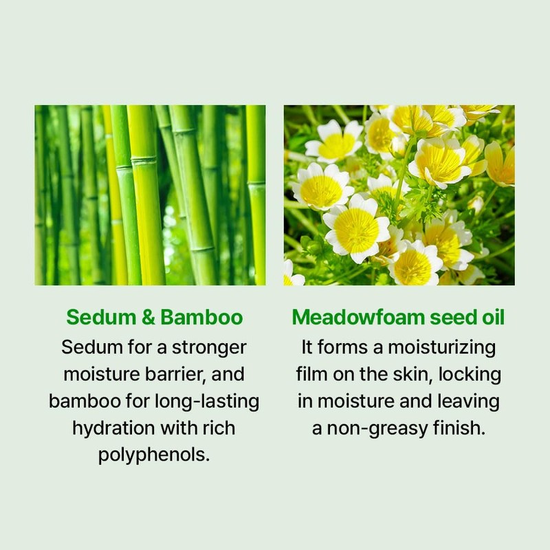 Veganifect [Veganifect]Clean and Glow Sedum Moisture Cream 50g