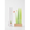 zeup Design Studio Pooleaf beauleaf Ballpoint Pen Set