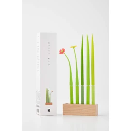 zeup Design Studio Pooleaf beauleaf Ballpoint Pen Set
