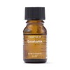 MUJI OCG75A4A Essential Oil Eucalyptus 0.3 fl oz (10 ml)