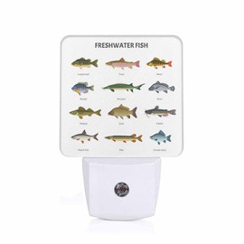 Chrobak LED Night Light,Beautiful Underwater Lake Fish LED Night Light Plug into Wall with Dusk to Dawn Light Sensor White Energy Efficient Nightlight for Bedroom Bathroom Hallway Living Room Kitchen